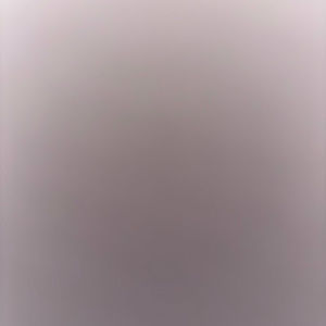 Meet your Posher, Maddox